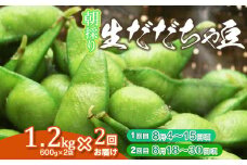 【2回定期便】【令和7年産先行予約】 朝採り生だだちゃ豆 1.2kg(600g×2袋) 旬2回お届け (8月上旬、8月下旬) 山形県鶴岡市産　鶴岡ファーマーズ