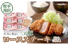 日本の米育ち三元豚　ロースステーキギフト（6枚入り）藻塩付き JOH-S06
