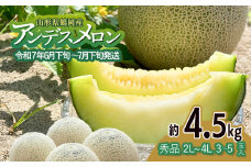 【令和7年産先行予約】アンデスメロン（青肉） 約4.5kg 2L～4L 【秀品】 3玉～５玉入 【令和7年6月下旬～7月下旬頃発送予定】 山形県鶴岡産 庄内砂丘メロン 御殿まりメロン 丸果庄内青果 