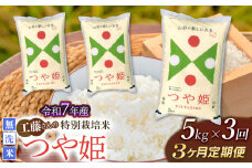【令和7年産先行予約】【3ヶ月定期便】工藤さんの特別栽培米 つや姫無洗米 5kg×3回（計15kg） 山形県鶴岡市　株式会社サンエイファーム