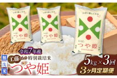 【令和7年産先行予約】【3ヶ月定期便】工藤さんの特別栽培米 つや姫無洗米 5kg×3回（計15kg） 山形県鶴岡市　株式会社サンエイファーム