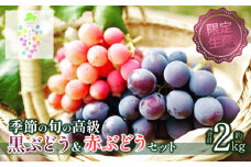 【令和7年産先行予約】【限定生産】幻の種あり品種 ぶどうの詰合せ 約2kg 季節の旬の高級黒ぶどう・赤ぶどうセット　カラフルぶどう園