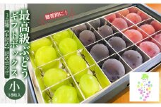 【令和7年産先行予約】最高級ぶどう ギフトボックス【小】18粒入 高級3品種 詰合せ（手詰め）　カラフルぶどう園 
