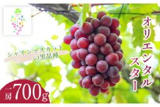 【令和7年産先行予約】オリエンタルスター 約700g　カラフルぶどう園