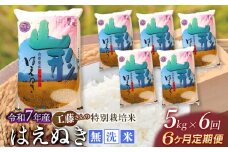 【令和7年産先行予約】【6ヶ月定期便】工藤さんの特別栽培米 はえぬき無洗米 5kg × 6回（計30kg） 山形県鶴岡市　株式会社サンエイファーム