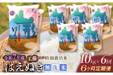 【令和7年産先行予約】【6ヶ月定期便】工藤さんの特別栽培米 はえぬき無洗米 10kg（ 5kg×2袋）×6回 （計60kg） 山形県鶴岡市　株式会社サンエイファーム