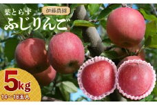 【令和7年産 先行予約】葉とらずリンゴ「ふじりんご」　約5kg（14～18玉入）　伊藤農園