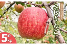 【令和7年産 先行予約】家庭用ふじりんご　約5kg(12～20玉)入箱　山形県鶴岡市産　庄内産直センター