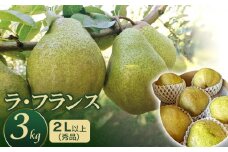 【令和7年産 先行予約】ラ・フランス　約3kg 2L以上（秀品）　庄内産直センター