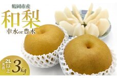 【令和7年産 先行予約】鶴岡市産 和梨 幸水or豊水　約3kg 2L以上（秀品）どちらか1品種　庄内産直センター