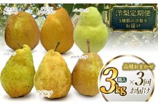 【令和7年産 先行予約】山形県鶴岡市産 洋梨定期便　3種類の洋梨をお届け　約3kg×3回 品種おまかせ　庄内産直センター