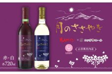 月山ワイン＆ＪＡ全農共同企画【月のささやき】赤・白ワイン２本セット　[K-738]