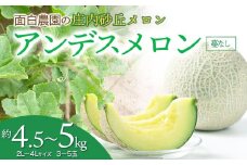 【令和7年産 先行予約】 庄内砂丘メロン　2L～4Lサイズ　約4.5㎏～5kg　(3～5玉)　つるなしアンデスメロン　山形県鶴岡市産　面白農園