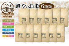【令和7年産先行予約】【定期便12回】殿やのお米6種類（精米）（毎月1種類　5kg×12ヶ月）　K-745
