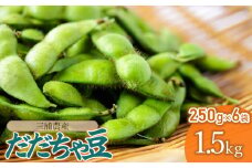【令和7年産先行予約】 だだちゃ豆 約1.5kg (250g×6袋) 三浦農産