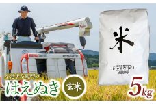数量限定 【令和7年産先行予約】 山形県庄内産 小池半左衛門のお米 はえぬき 玄米 5kg (5kg×1袋)