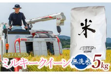 数量限定 【令和7年産先行予約】 山形県庄内産 小池半左衛門のお米 ミルキークイーン 無洗米 5kg (5kg×1袋)
