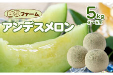 【令和7年産先行予約】 アンデスメロン 約5kg(3～5玉) 山形県鶴岡産 庄内砂丘メロン　白砂ファーム