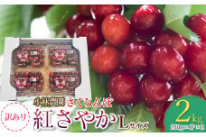 【令和7年産先行予約】【訳あり】さくらんぼ　紅さやか 2kg フードパック詰 Lサイズ　小林農園 さくらん坊