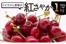 令和7年産　さくらんぼ「紅さやか」1kg（500g×2パック）　くにちゃん農園
