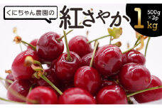 【令和8年産先行予約】　さくらんぼ「紅さやか」1kg（500g×2パック）　K-856　くにちゃん農園