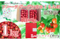 【令和7年産】フルーツガーデンのさくらんぼ 〈紅秀峰〉 バラ詰め L～2Lサイズ 1kg（500g×2）