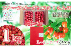 【令和7年産】フルーツガーデンのさくらんぼ 〈佐藤錦〉 バラ詰め L～2Lサイズ 1kg（500g×2）