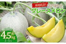 【令和7年産 先行予約】産地直送！ 庄内砂丘グレースメロン 約4.5kg (3～5玉) K-733