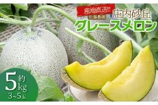 【令和8年産先行予約】産地直送！ 庄内砂丘グレースメロン 約5kg (3～5玉)　佐藤農園　 K-835