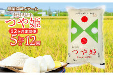 【令和7年産先行予約】特別栽培米つや姫 5kg (5kg×1袋)×12ヶ月【定期便】　鶴岡協同ファーム 