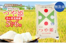 【令和7年産先行予約】特別栽培米つや姫 無洗米 5kg (5kg×1袋)×6ヶ月【定期便】　鶴岡協同ファーム 