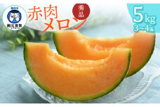 【令和7年産先行予約】 庄内砂丘赤肉メロン 秀品 大玉 約5kg (3～4玉) 山形県鶴岡市産　株式会社 元青果