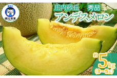 【令和7年産先行予約】 アンデスメロン 秀品 5kg (3～5玉) 山形県鶴岡市産　株式会社 元青果