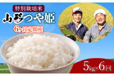 【令和7年産先行予約】【定期便】 特別栽培米 山形つや姫 精米 5kg×6ヶ月　山形県鶴岡市産　鶴岡ファーマーズ