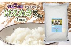 【令和7年産先行予約】 富樫農園のはえぬき 精米5kg（5㎏×1袋） 山形県鶴岡市産　[K-732]