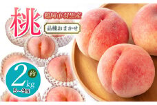 【令和7年産先行予約】JA庄内たがわの桃 約2kg（5～9玉入） 鶴岡市羽黒地域産　K-730
