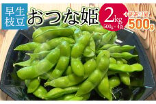 【令和7年産先行予約】山形県鶴岡市産 早生枝豆 「おつな姫」2kg+訳あり品500g　株式会社アグリシア
