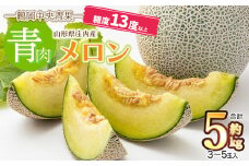 【令和7年産】庄内産メロン 【青肉】3～5玉　約5kg　糖度13度以上　鶴岡中央青果