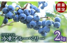 令和7年産【数量限定】JA庄内たがわの庄内産 冷凍ブルーベリー 2kg 【K-739】
