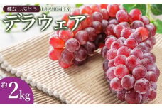 【令和7年産先行予約】鶴岡市産 デラウェア 約2kg (10～16房) JA庄内たがわ　K-730