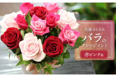 佐藤さんちのバラのアレンジメント【赤ピンク系】　薔薇12本　A75-901　花蔵