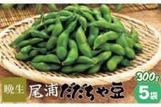 【令和7年産】尾浦 だだちゃ豆 300g×5袋（計1500g）【晩生】 株式会社 清川屋