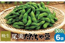 【令和7年産】尾浦 だだちゃ豆 300g×6袋（計1800g）【晩生】 株式会社 清川屋