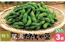 【令和7年産】尾浦 だだちゃ豆 300g×3袋（計900g）【晩生】 株式会社 清川屋