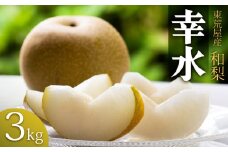 【令和7年産先行予約】　東荒屋産　幸水　(和梨) 　3kg　山形県鶴岡市 鶴岡中央青果