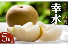【令和7年産先行予約】 東荒屋産　幸水　(和梨) 　5kg　山形県鶴岡市 鶴岡中央青果