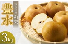 【令和7年産先行予約】 東荒屋産 　豊水　(和梨)　3kg 　山形県鶴岡市 鶴岡中央青果