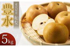 【令和7年産先行予約】 東荒屋産　豊水　(和梨)　5kg　山形県鶴岡市 鶴岡中央青果