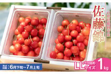 【令和7年産先行予約】佐藤錦 バラ詰め LLサイズ 1kg　もぎたて「初夏の味覚」さくらんぼ　丸忠農園