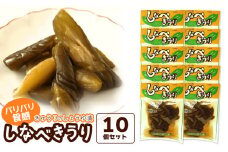 しなべきうり10個セット　庄内観光物産館
